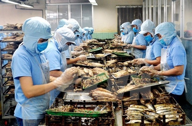 附圖：2018年前兩月越南水產品出口額同比增長近30%。（圖片來源：越通社）